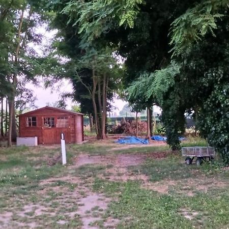 Casetta Di Laura Pisa Ngoại thất bức ảnh